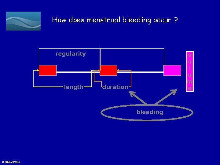 How does menstrual bleeding occur ? regularity length v o l u m e