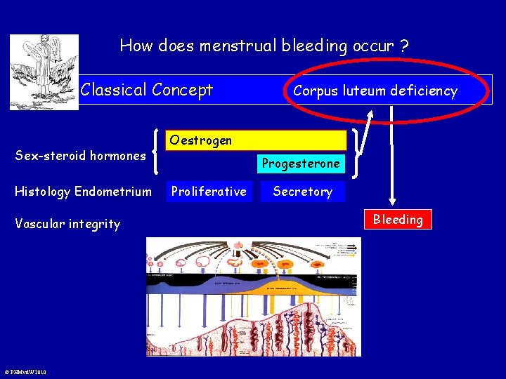 How does menstrual bleeding occur ? Classical Concept Sex-steroid hormones Histology Endometrium Vascular integrity