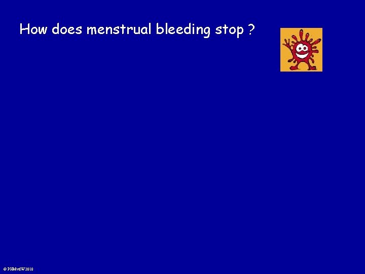 How does menstrual bleeding stop ? © PHMvd. W 2010 