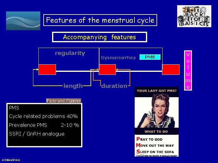 Features of the menstrual cycle Accompanying features regularity length PMS Cycle related problems 40%
