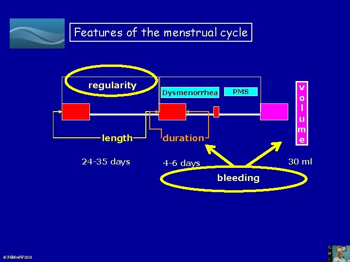 Features of the menstrual cycle regularity length 24 -35 days duration v o l