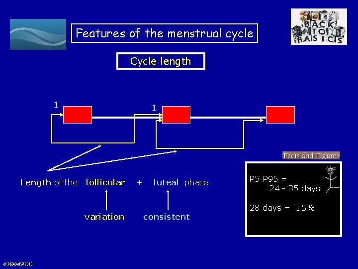 Features of the menstrual cycle Cycle length 1 Length of the 1 follicular variation