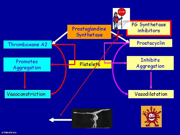 Prostaglandine Synthetase PG Synthetase inhibitors Thromboxane A 2 Prostacyclin Promotes Aggregation Inhibits Aggregation Vasoconstriction