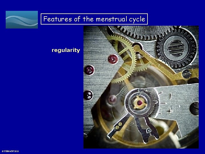 Features of the menstrual cycle regularity © PHMvd. W 2010 