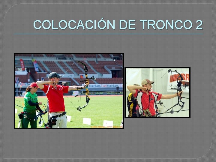 COLOCACIÓN DE TRONCO 2 