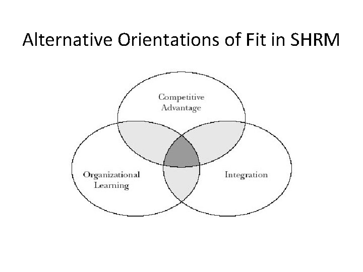 Alternative Orientations of Fit in SHRM 