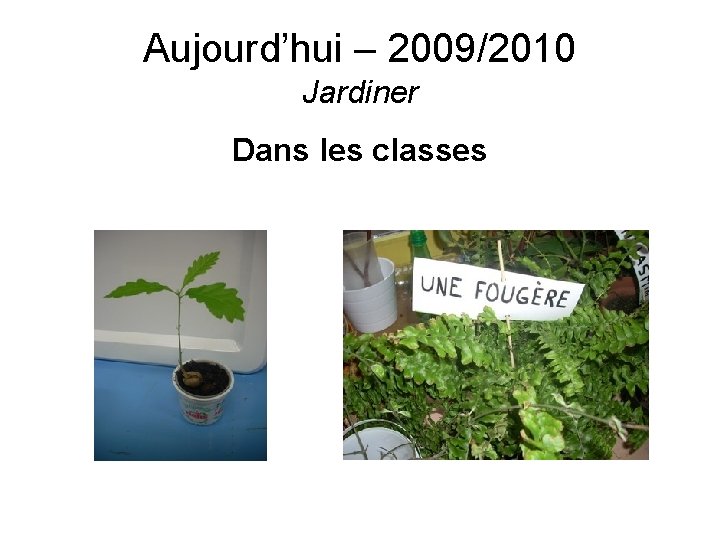 Aujourd’hui – 2009/2010 Jardiner Dans les classes 
