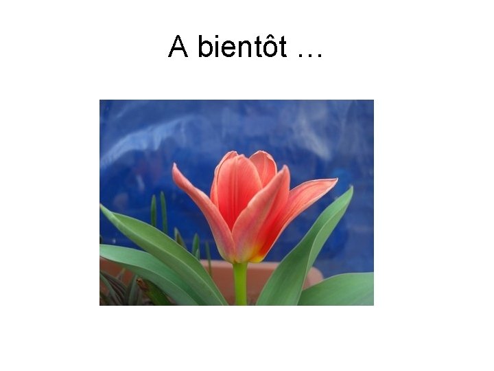 A bientôt … 