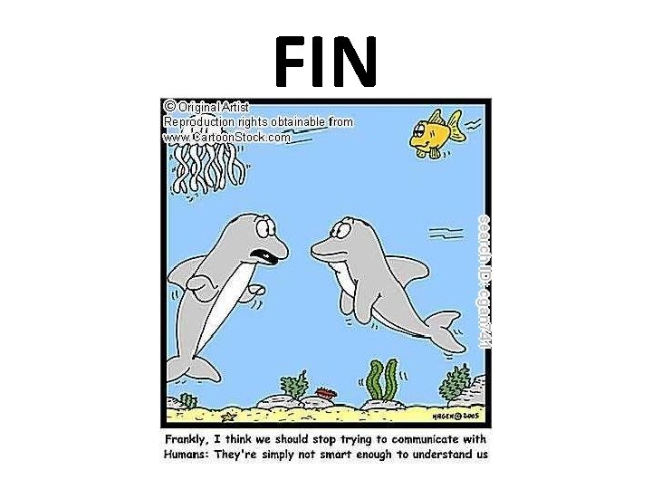 FIN 