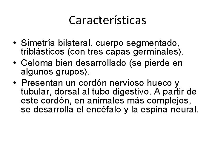Características • Simetría bilateral, cuerpo segmentado, triblásticos (con tres capas germinales). • Celoma bien