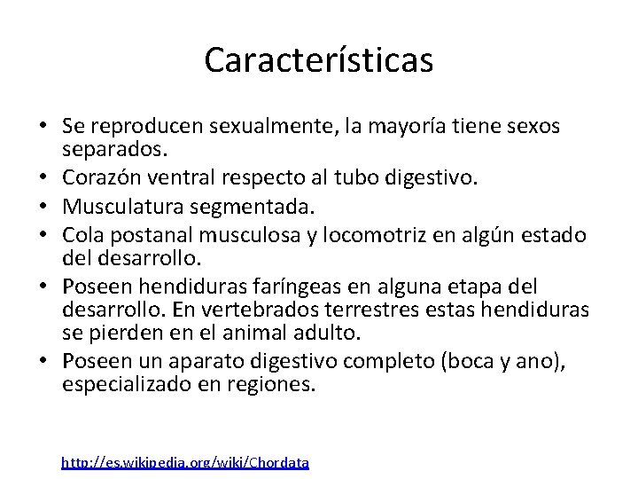 Características • Se reproducen sexualmente, la mayoría tiene sexos separados. • Corazón ventral respecto