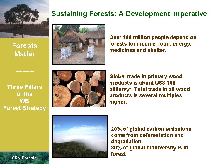 Sustaining Forests: A Development Imperative Forests Matter -------Three Pillars of the WB Forest Strategy