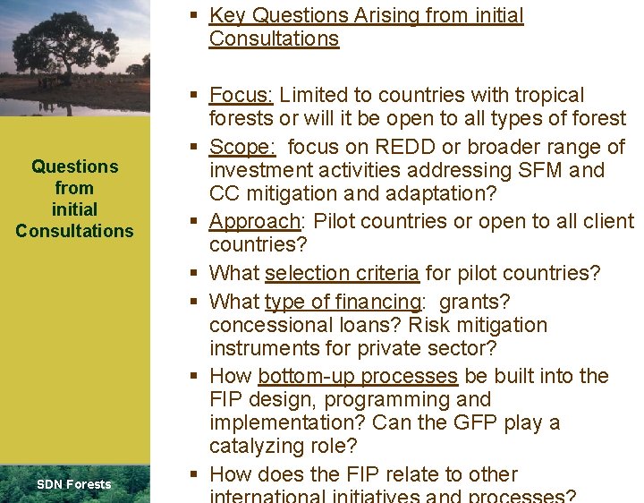 § Key Questions Arising from initial Consultations Questions from initial Consultations SDN Forests §