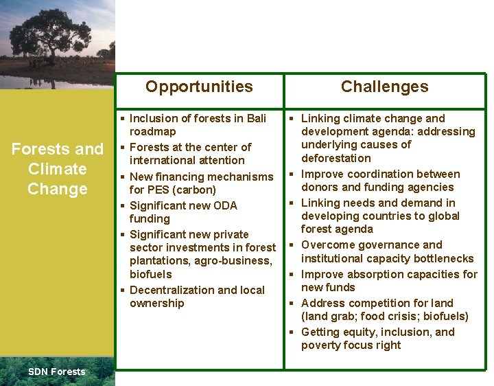 Forests and Climate Change SDN Forests Opportunities Challenges § Inclusion of forests in Bali