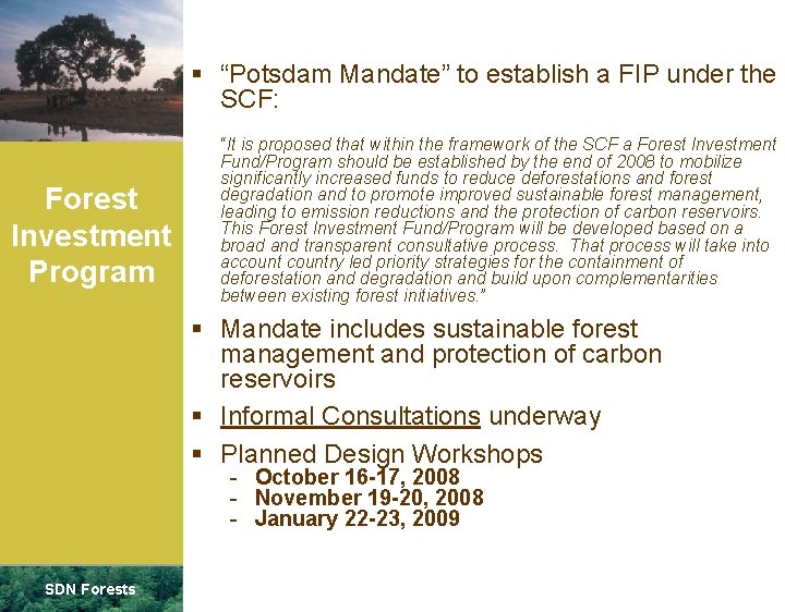 m § “Potsdam Mandate” to establish a FIP under the SCF: Forest Investment Program