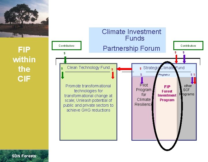 FIP within the CIF Contributors $ $ Climate Investment Funds Partnership Forum Clean Technology