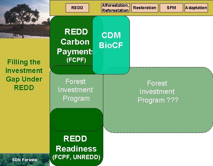 REDD Afforestation, Reforestation Restoration SFM REDD CDM Carbon Bio. CF Payments Filling the Investment