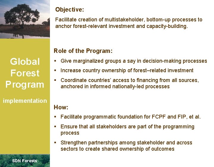 Objective: Facilitate creation of multistakeholder, bottom-up processes to anchor forest-relevant investment and capacity-building. Role