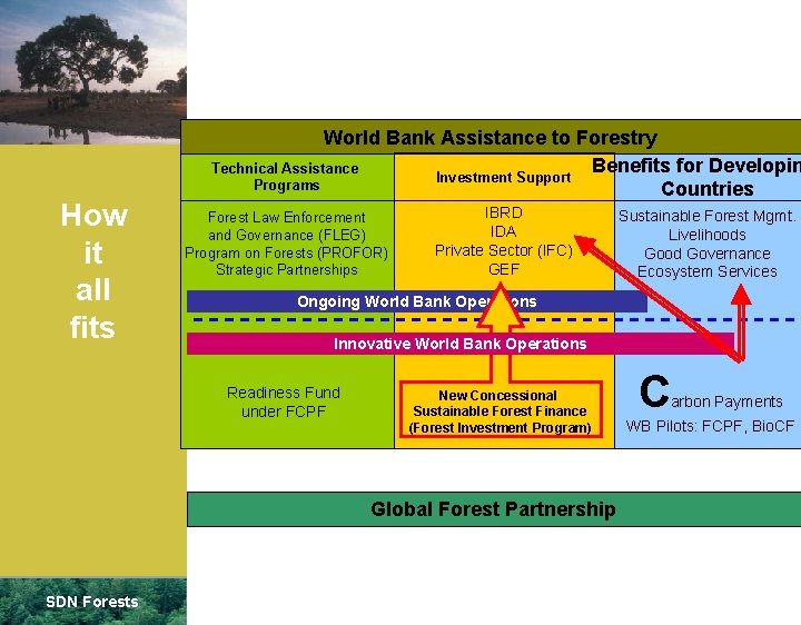 How it all fits World Bank Assistance to Forestry Benefits for Developin Technical Assistance