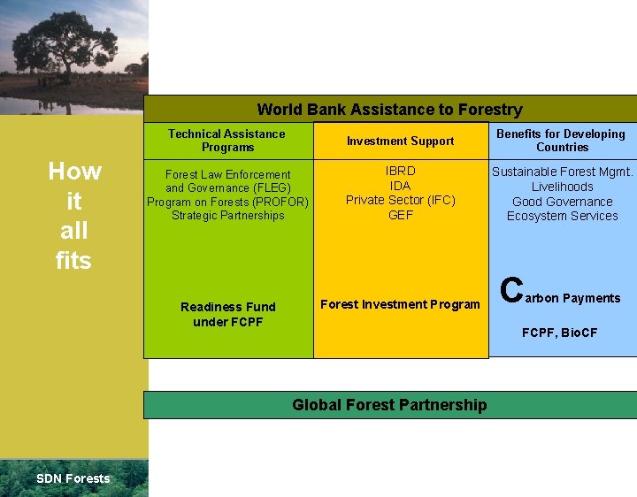World Bank Assistance to Forestry How it all fits Technical Assistance Programs Investment Support