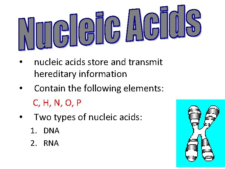 nucleic acids store and transmit hereditary information • Contain the following elements: C, H,