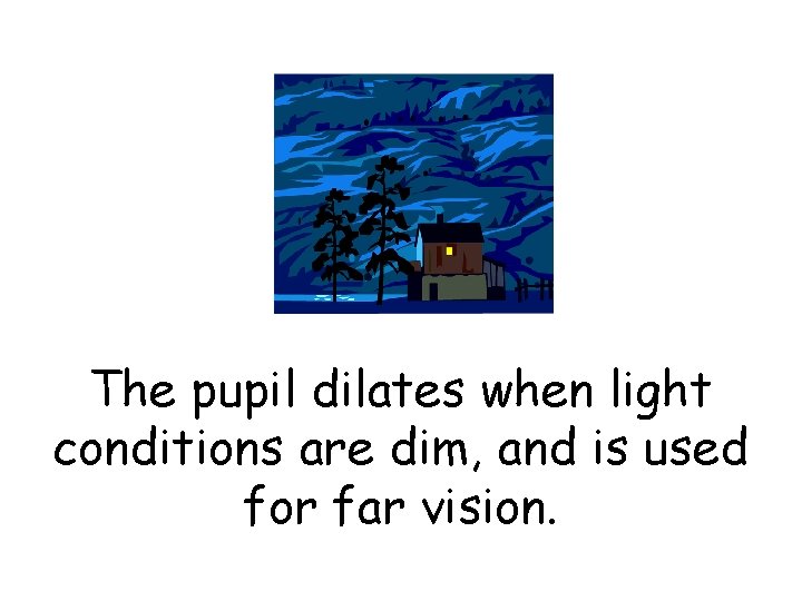 The pupil dilates when light conditions are dim, and is used for far vision.