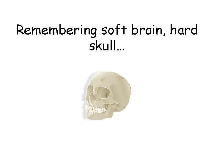 Remembering soft brain, hard skull… 