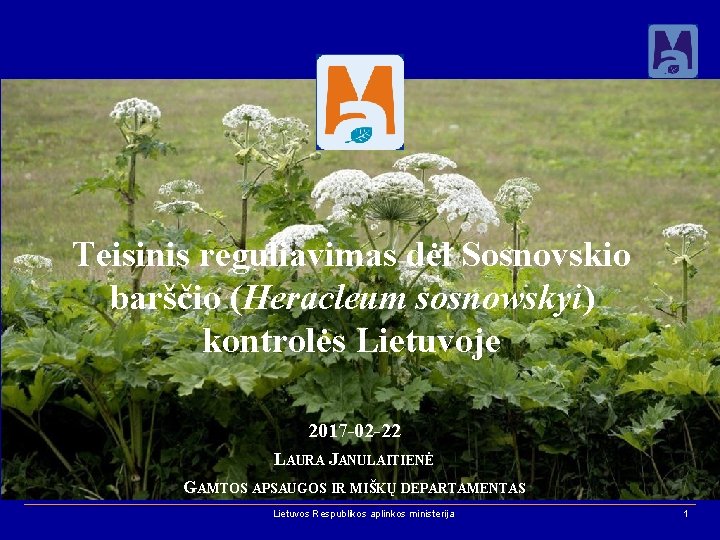 Teisinis reguliavimas dėl Sosnovskio barščio (Heracleum sosnowskyi) kontrolės Lietuvoje 2017 -02 -22 LAURA JANULAITIENĖ