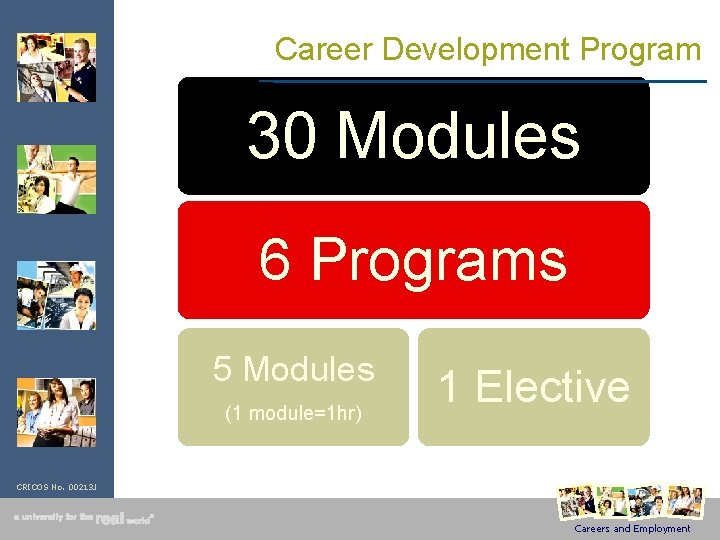Career Development Program 30 Modules 6 Programs 5 Modules (1 module=1 hr) 1 Elective