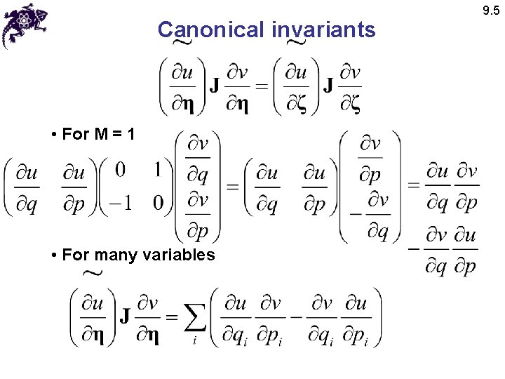 Canonical invariants • For M = 1 • For many variables 9. 5 