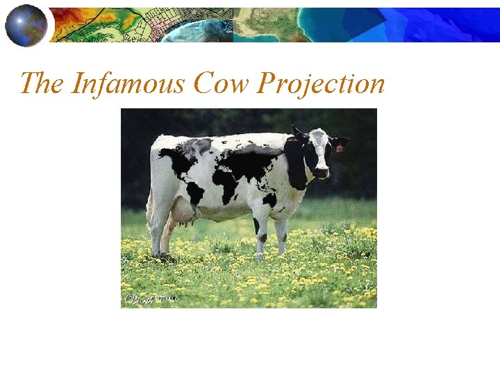 The Infamous Cow Projection 