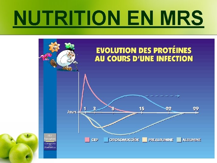 NUTRITION EN MRS 