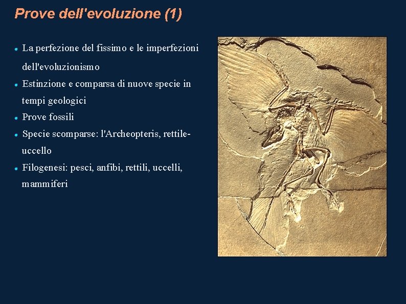 Prove dell'evoluzione (1) La perfezione del fissimo e le imperfezioni dell'evoluzionismo Estinzione e comparsa