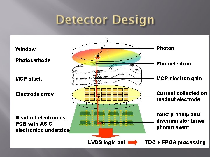 Photon Window Photocathode Photoelectron MCP stack MCP electron gain Electrode array Current collected on