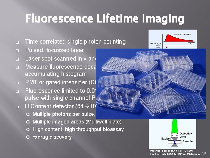 Fluorescence Lifetime Imaging Time correlated single photon counting Pulsed, focussed laser Laser spot scanned