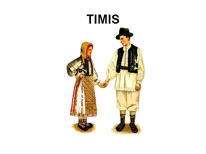 TIMIS 