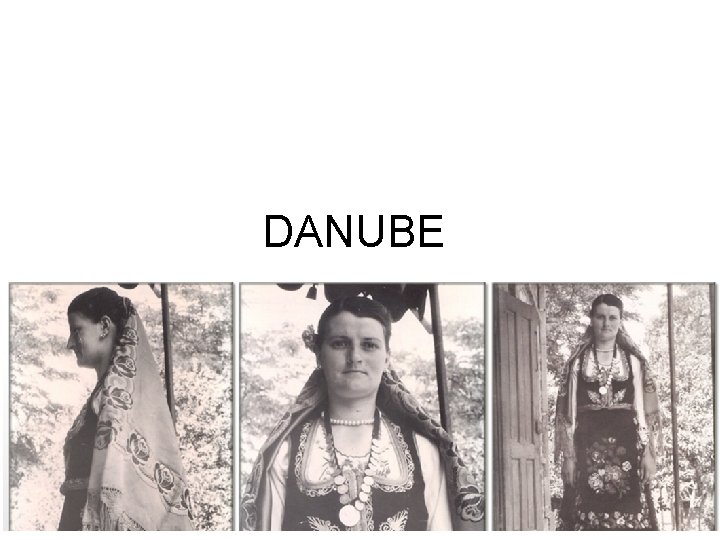 DANUBE 
