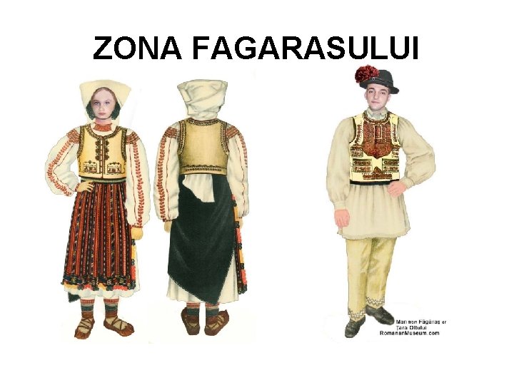 ZONA FAGARASULUI 