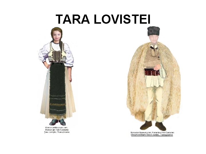 TARA LOVISTEI 