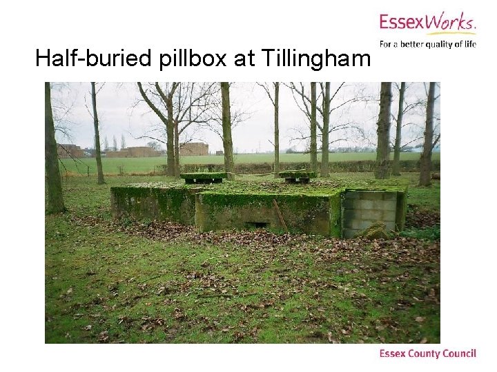 Half-buried pillbox at Tillingham 