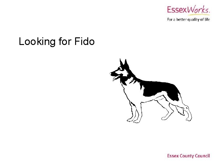 Looking for Fido 