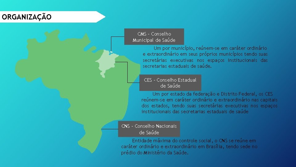 ORGANIZAÇÃO CMS - Conselho Municipal de Saúde Um por município, reúnem-se em caráter ordinário