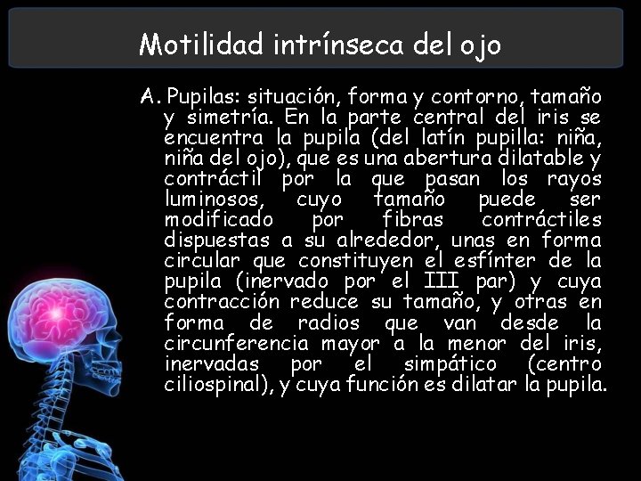 Motilidad intrínseca del ojo A. Pupilas: situación, forma y contorno, tamaño y simetría. En