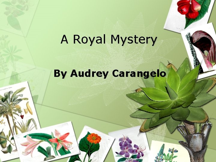A Royal Mystery By Audrey Carangelo 