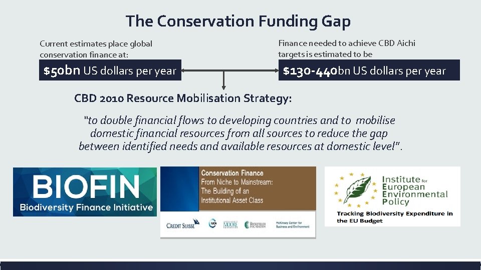 The Conservation Funding Gap Current estimates place global conservation finance at: $50 bn US
