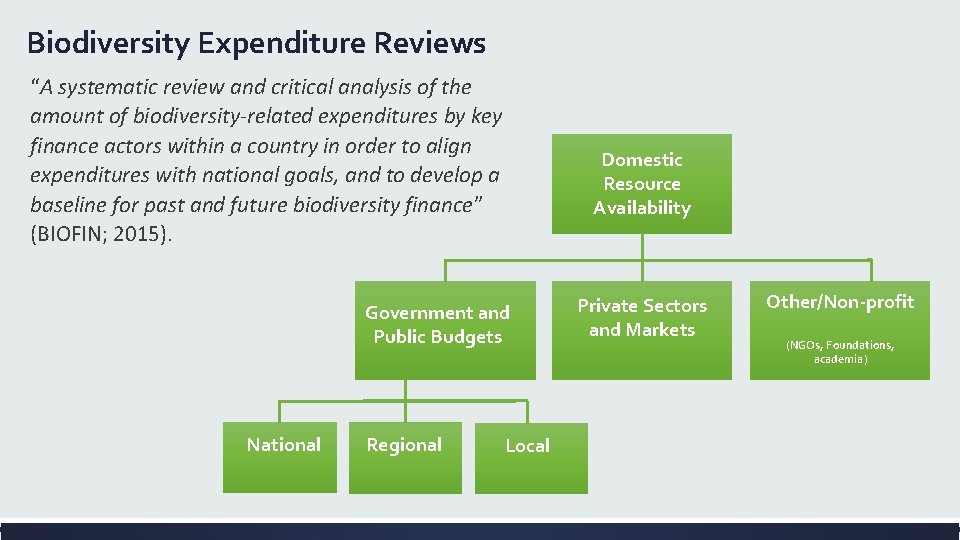 Biodiversity Expenditure Reviews “A systematic review and critical analysis of the amount of biodiversity-related