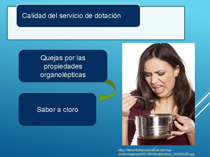 Calidad del servicio de dotación Quejas por las propiedades organolépticas Sabor a cloro https: