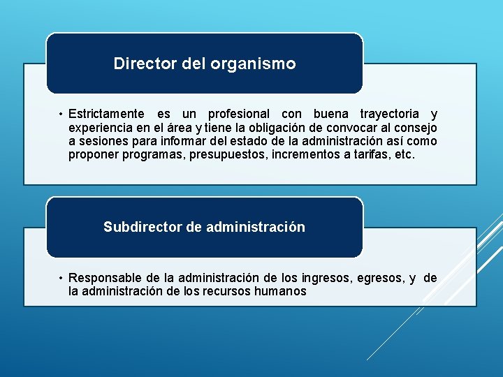 Director del organismo • Estrictamente es un profesional con buena trayectoria y experiencia en