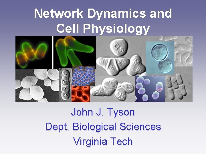 Network Dynamics and Cell Physiology John J. Tyson Dept. Biological Sciences Virginia Tech 