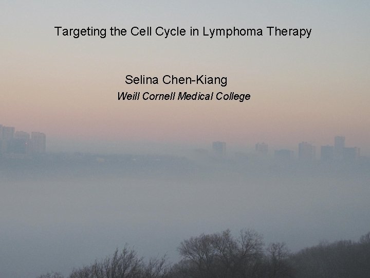 Targeting the Cell Cycle in Lymphoma Therapy Selina Chen-Kiang Weill Cornell Medical College 